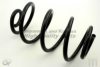 NISSA 550209U00A Coil Spring